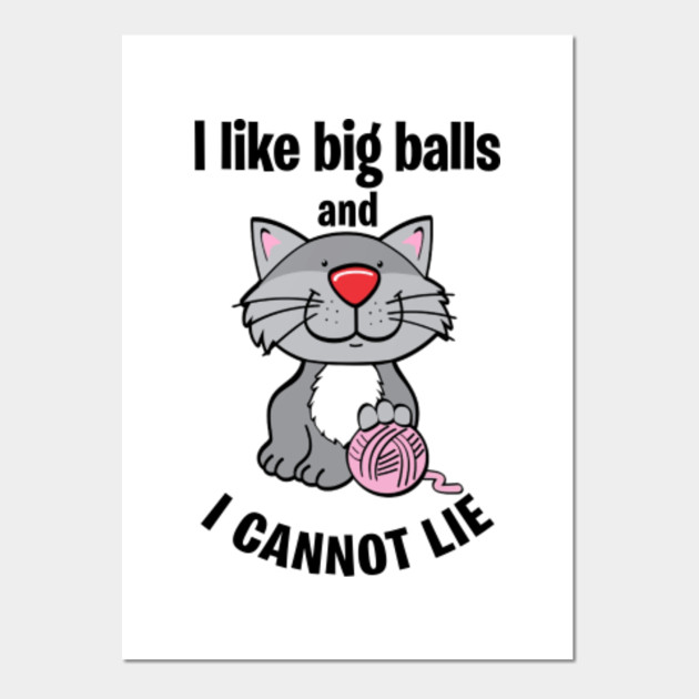 I Like Big Balls And I Cannot Lie I Like Big Balls And I Cannot Lie Posters And Art Prints 4542